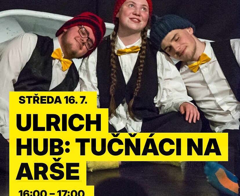 Tučňáci na Colours a v Hronově!